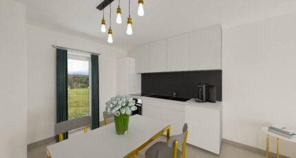 PP Invest 60 2 CH  - LMP Constructeur