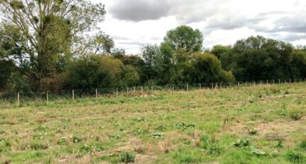 Les Herbiers Maison neuve - 2642935-11930annonce120260921OeVEA.jpeg LMP Constructeur
